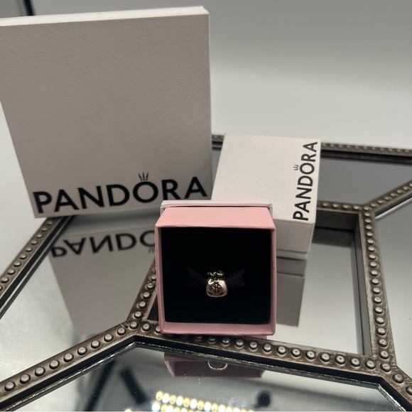 Pandora Sterling Silver Money Bag Charm - Picture 2 of 6